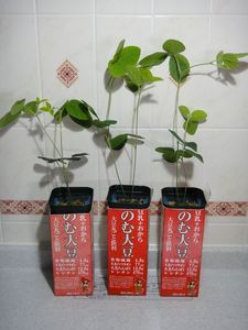 DSC01244.jpg