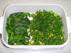 DSC01273.jpg