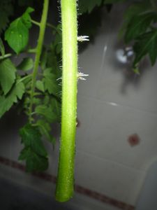 DSC01319.jpg
