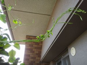 DSC01692.jpg