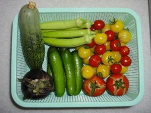 DSC01776.jpg