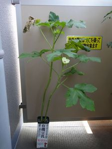 DSC01820.jpg