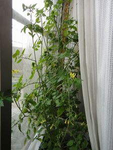 DSC00640.jpg